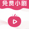 高清影视大全手机版那下载